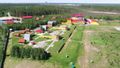 Гнездо беркута